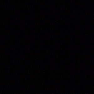 Meet your Posher, Dani